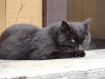 f:id:mikk:20120503113219j:image