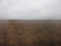 f:id:mikk:20120504094231j:image