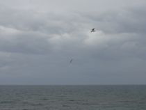 f:id:mikk:20120504134734j:image