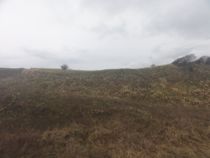 f:id:mikk:20120504145414j:image