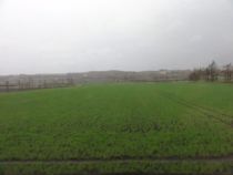 f:id:mikk:20120504154014j:image