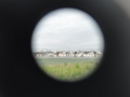[団地]