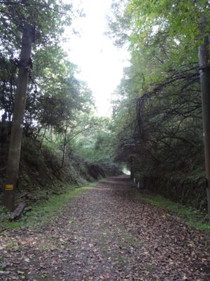 f:id:mikk:20121014092710j:image