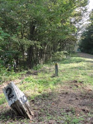 f:id:mikk:20121014092959j:image