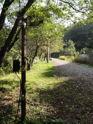 f:id:mikk:20121014094002j:image