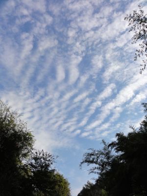 f:id:mikk:20121014094239j:image