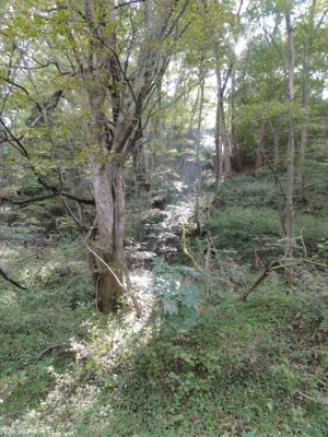 f:id:mikk:20121014094604j:image