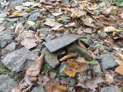 f:id:mikk:20121014094747j:image:w300