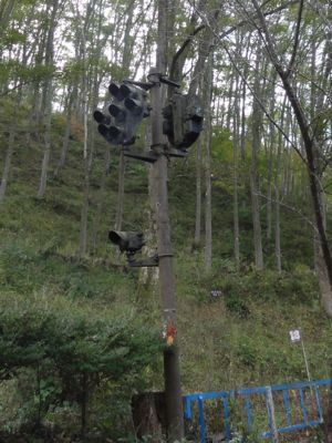 f:id:mikk:20121014100303j:image