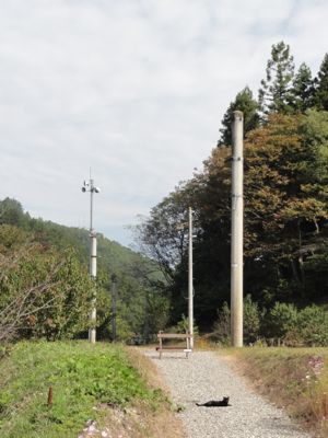 f:id:mikk:20121014100514j:image