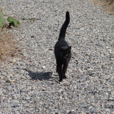 f:id:mikk:20121014100534j:image:w300