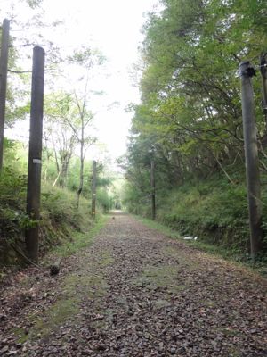 f:id:mikk:20121014101823j:image