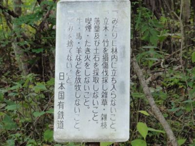 f:id:mikk:20121014102208j:image:w300