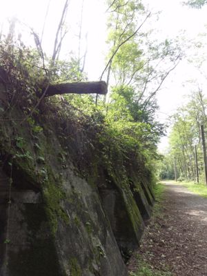 f:id:mikk:20121014102852j:image