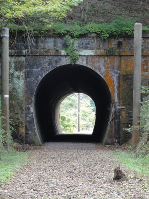 f:id:mikk:20121014103215j:image