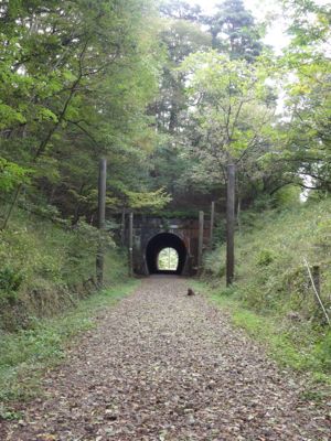 f:id:mikk:20121014103223j:image