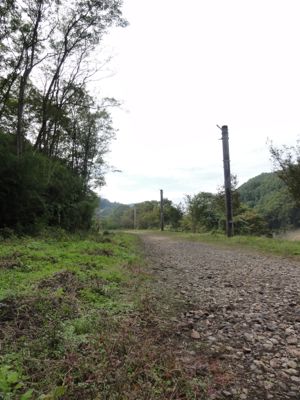 f:id:mikk:20121014104129j:image