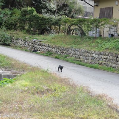 f:id:mikk:20121014104528j:image:w300