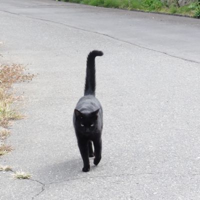 f:id:mikk:20121014104545j:image:w300