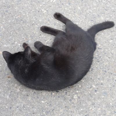 f:id:mikk:20121014104606j:image:w300