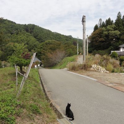 f:id:mikk:20121014104632j:image:w300