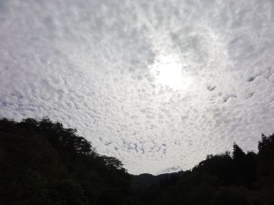 f:id:mikk:20121014105137j:image:w300