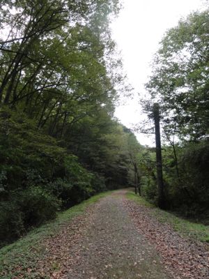 f:id:mikk:20121014110112j:image