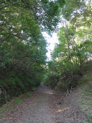 f:id:mikk:20121014111515j:image