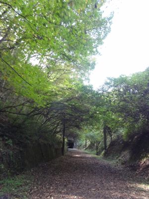 f:id:mikk:20121014111656j:image