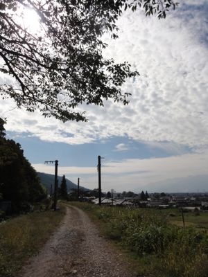 f:id:mikk:20121014112422j:image