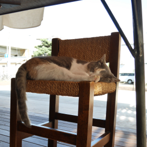 f:id:mikk:20170919134455j:image