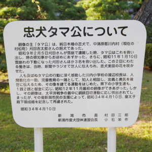 f:id:mikk:20170919170347j:image