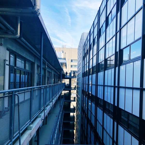 法政大学 55・58年館 - 音甘映画館