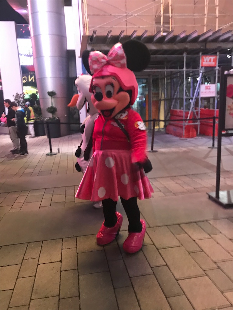 f:id:mikkihiiri:20190430184241j:image