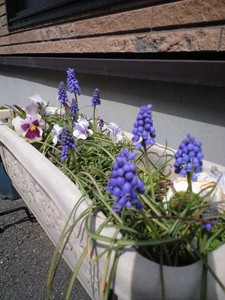 f:id:mikkin:20080322122414j:image