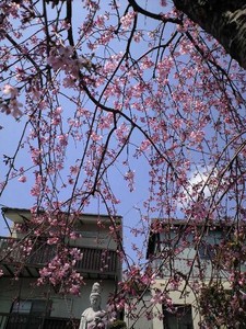 f:id:mikkin:20080326121334j:image