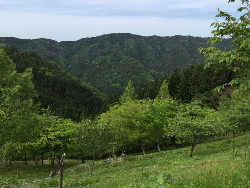 f:id:mikkonokoto:20170603210022j:plain