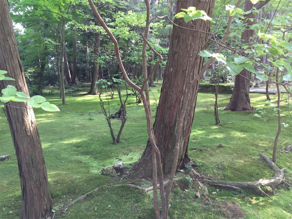 f:id:mikkonokoto:20180620202821j:image