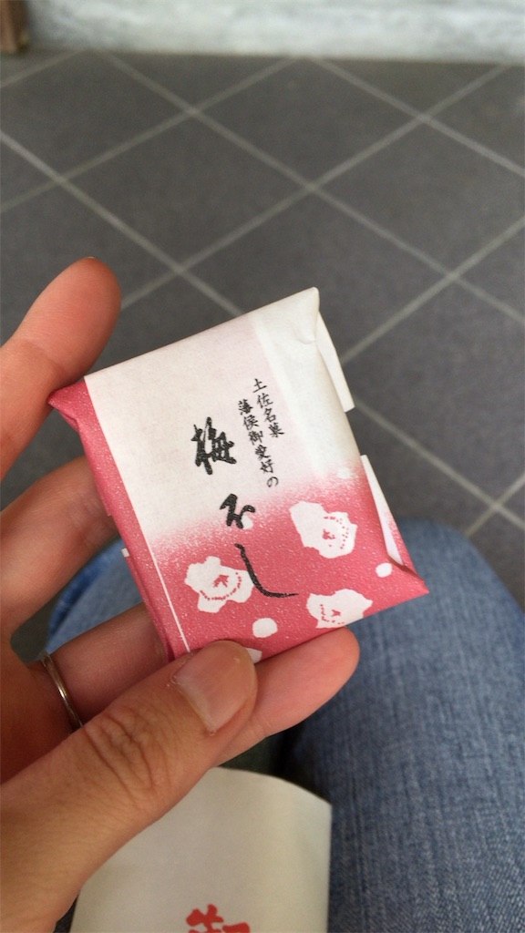 f:id:mikkonokoto:20180620202837j:image