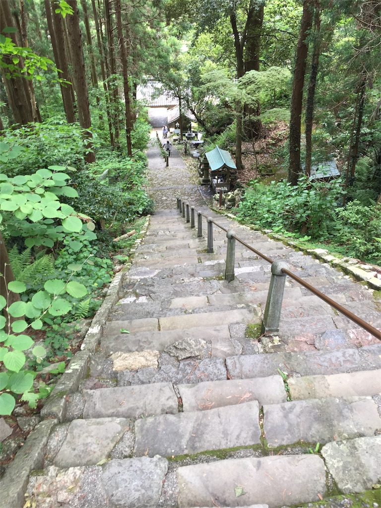 f:id:mikkonokoto:20180715200313j:image f:id:mikkonokoto:20180715200313j:image