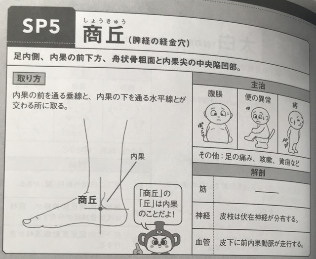f:id:mikkun_0819:20190713141640j:plain f:id:mikkun_0819:20190713141640j:plain