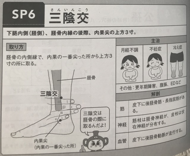 f:id:mikkun_0819:20190713141649j:plain f:id:mikkun_0819:20190713141649j:plain