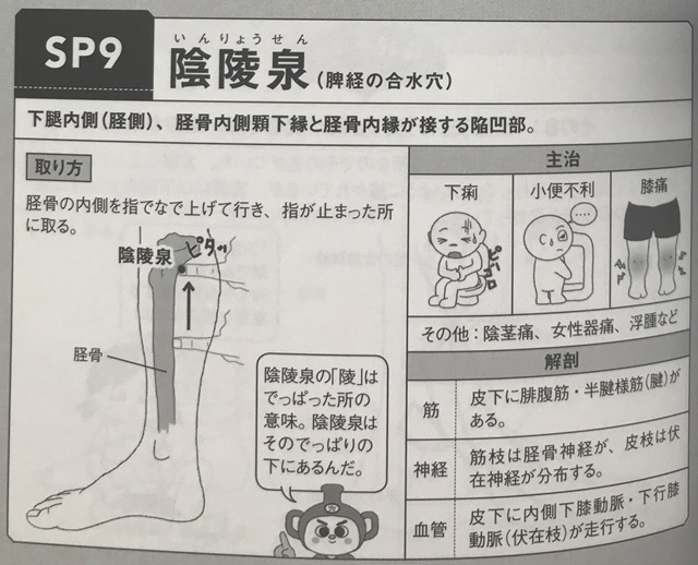 f:id:mikkun_0819:20190713141726j:plain f:id:mikkun_0819:20190713141726j:plain