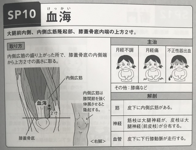 f:id:mikkun_0819:20190713141734j:plain f:id:mikkun_0819:20190713141734j:plain