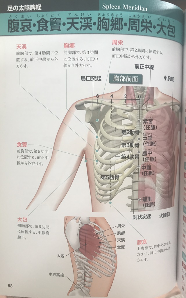 f:id:mikkun_0819:20190717120505j:plain f:id:mikkun_0819:20190717120505j:plain