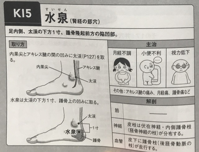 f:id:mikkun_0819:20191019153111j:plain f:id:mikkun_0819:20191019153111j:plain