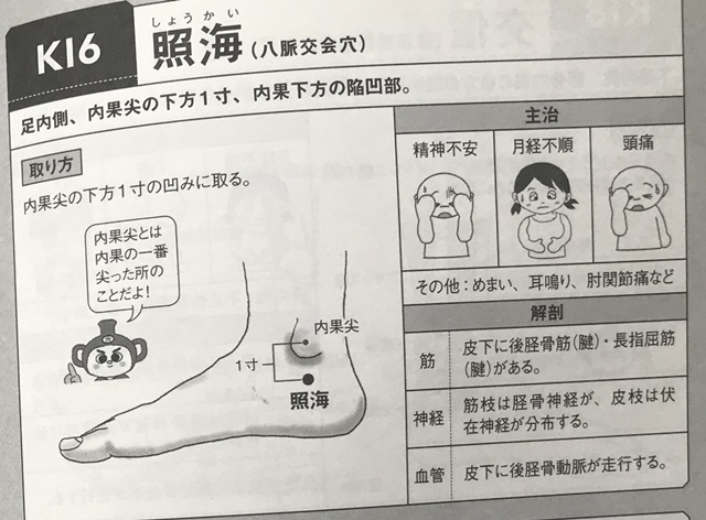 f:id:mikkun_0819:20191019153125j:plain f:id:mikkun_0819:20191019153125j:plain