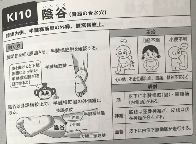 f:id:mikkun_0819:20191019153214j:plain f:id:mikkun_0819:20191019153214j:plain