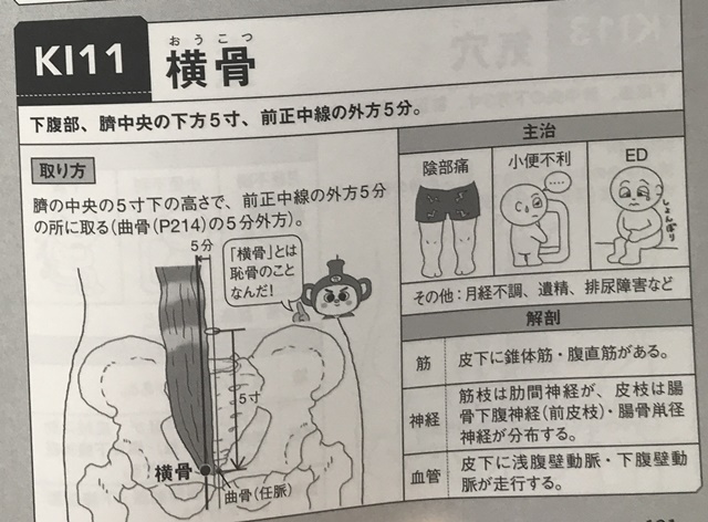 f:id:mikkun_0819:20191019153231j:plain f:id:mikkun_0819:20191019153231j:plain