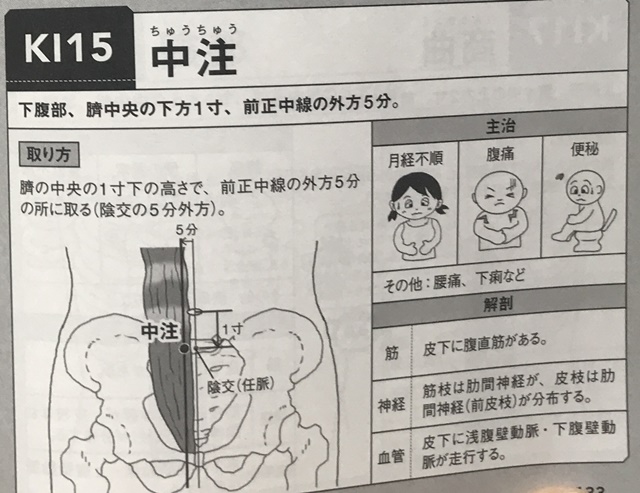 f:id:mikkun_0819:20191019153322j:plain f:id:mikkun_0819:20191019153322j:plain